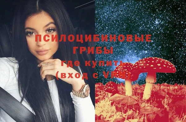 прущие грибы Алзамай