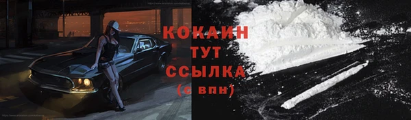 прущие грибы Алзамай