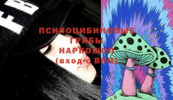 первитин Алексин