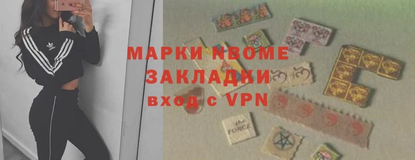прущие грибы Алзамай