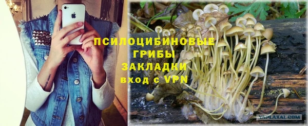 прущие грибы Алзамай