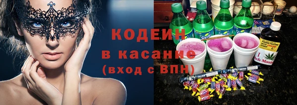 прущие грибы Алзамай