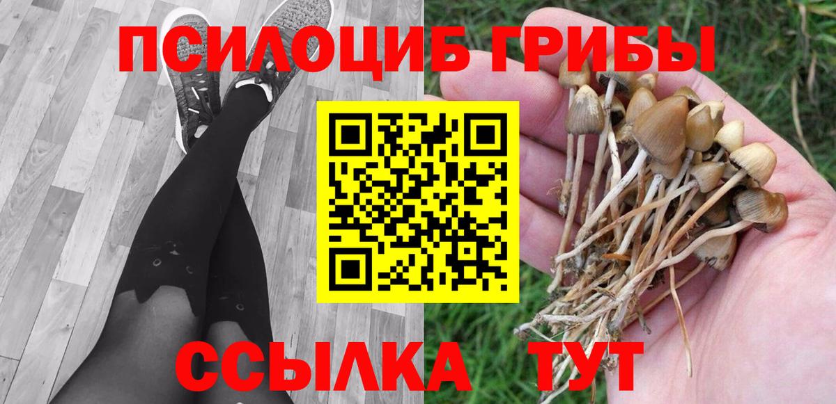 Ростов-на-Дону  Псилоцибиновые грибы мицелий  где купить наркоту  Вход с VPN  Галлюциногенные грибы мухоморы 